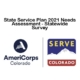 State Service Plan Survey